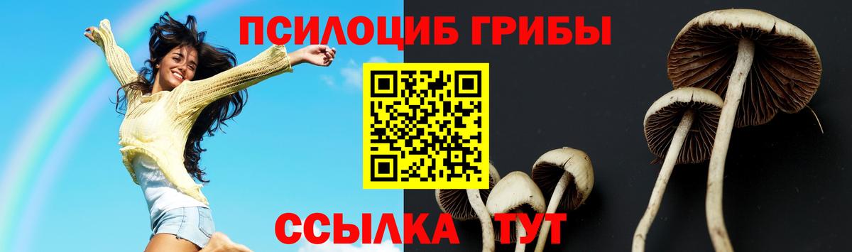 Галлюциногенные грибы Magic Shrooms Мичуринск